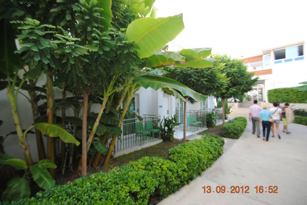 imagini hotel CLUB ARMONIA BODRUM